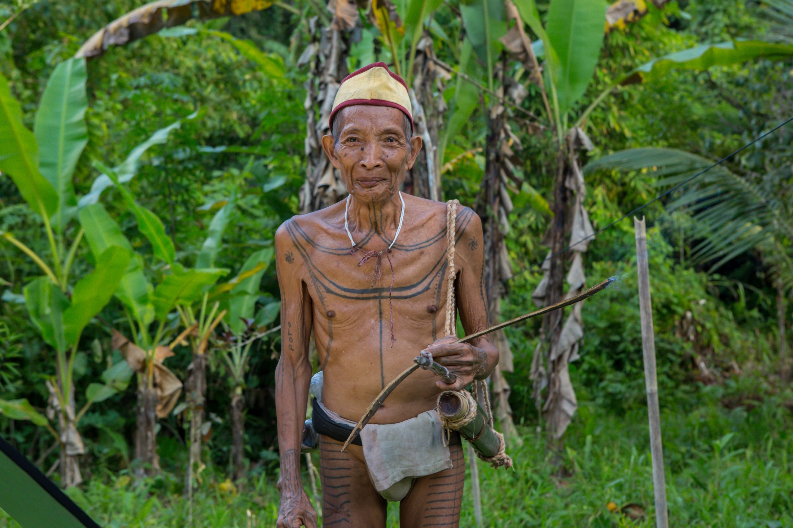  Siberut  Mentawai Islands Indonesia  Duniart 