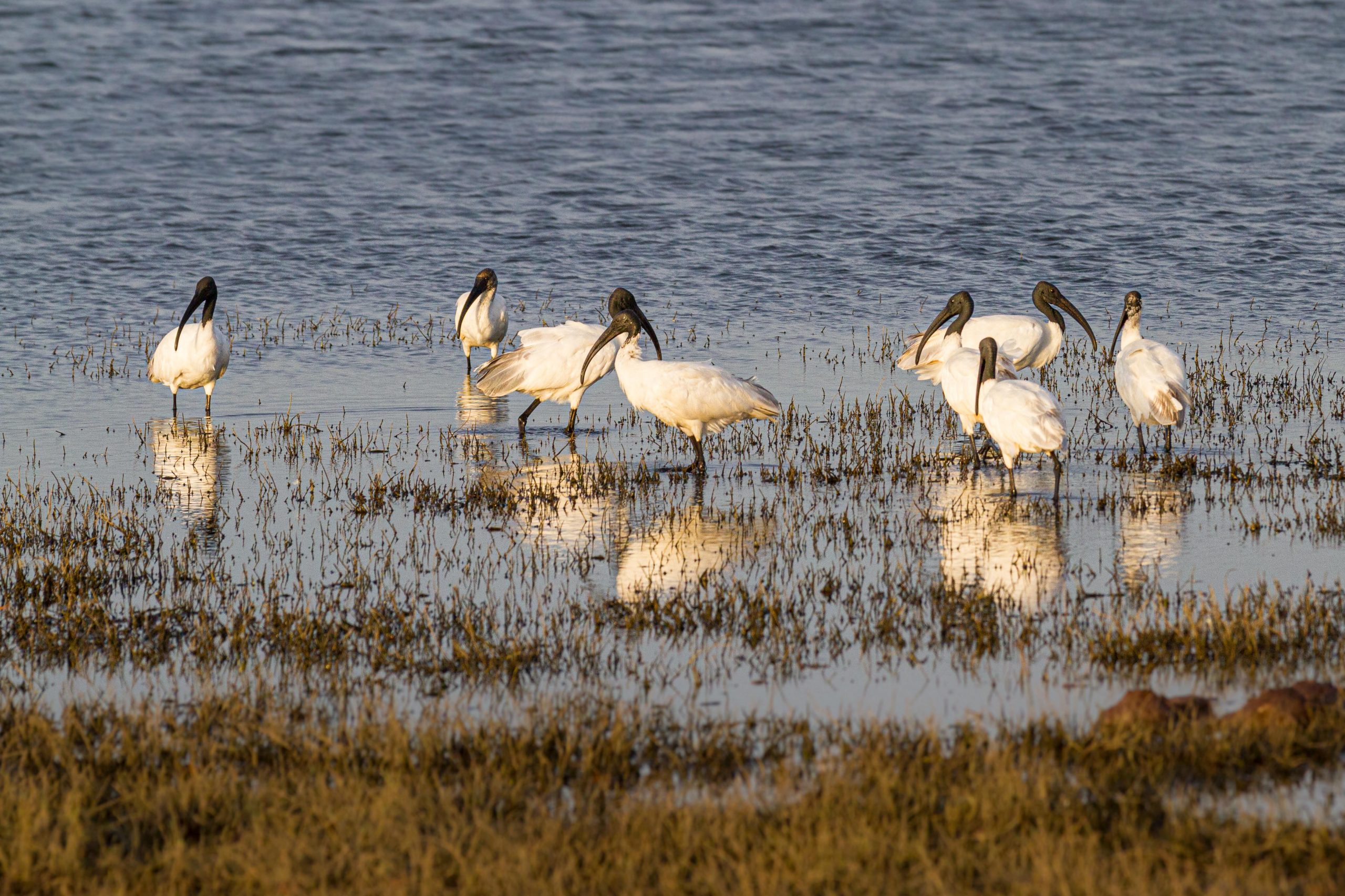 Kaudulla National Park - Sri Lanka - Duniart - Photography and Blog by ...